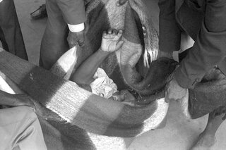 Pensioner being carried in to collect her money. She died a few weeks later